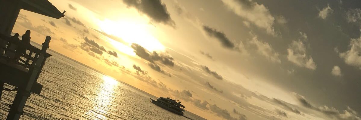 ljg1988's profile banner image