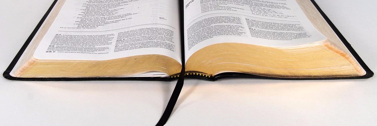 BiblePortal's profile banner image