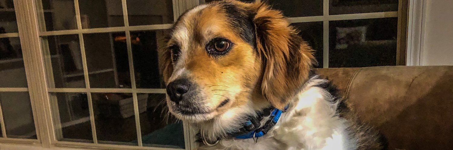 LetTheBlueGetIn's profile banner image