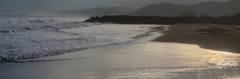 seviay's profile banner image