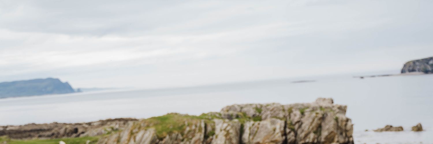 Dr. Aine Sperrin banner