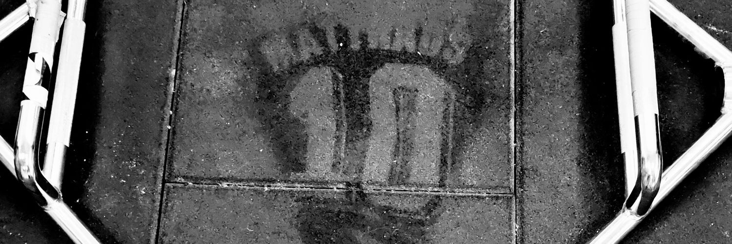 Carlos Fernández banner