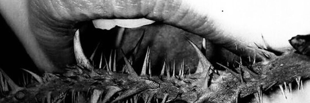 fede1004SL's profile banner image