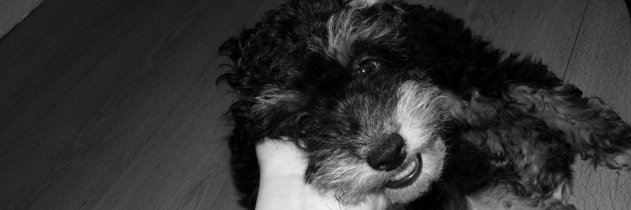 _ccamigonzalez's profile banner image