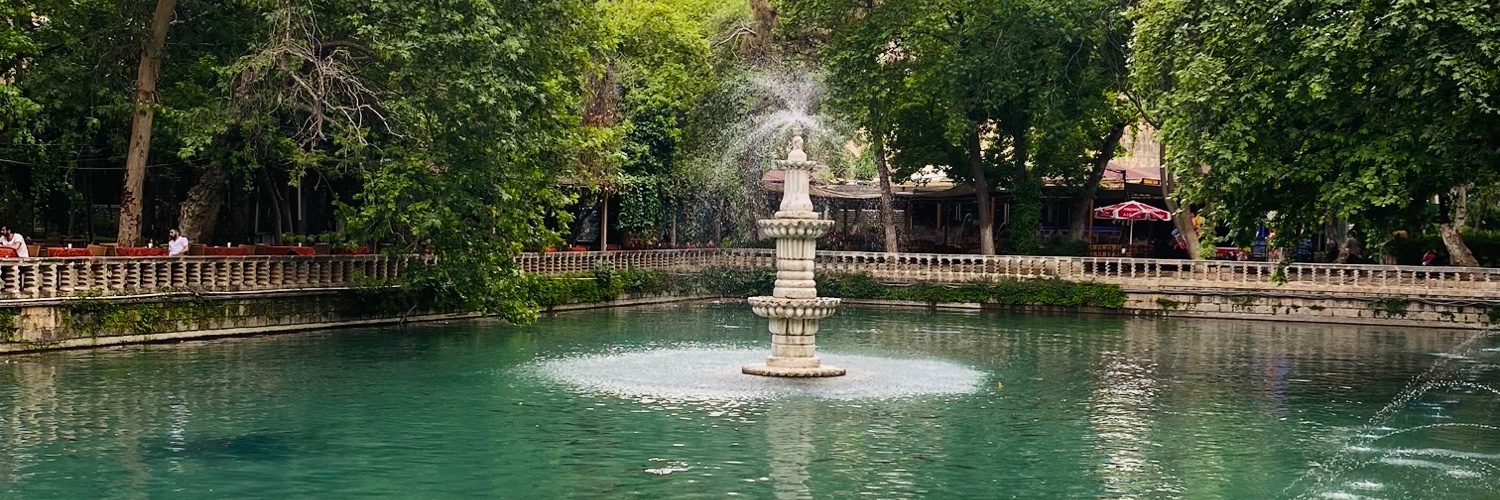 melikeChnoglu's profile banner image