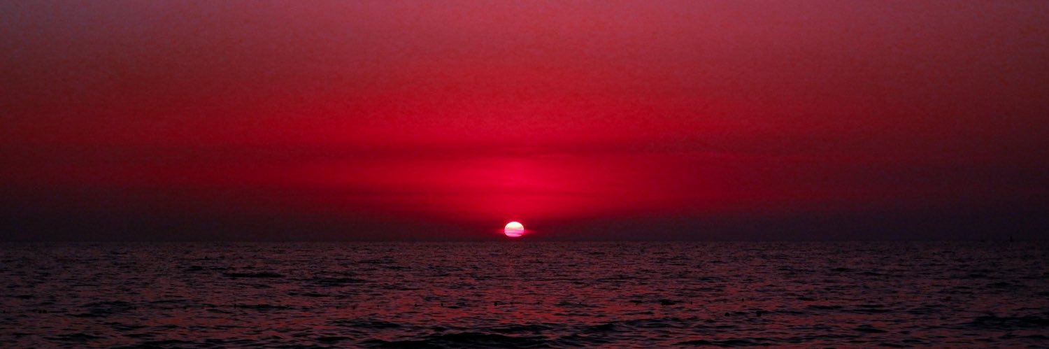 Lauriegdrd's profile banner image