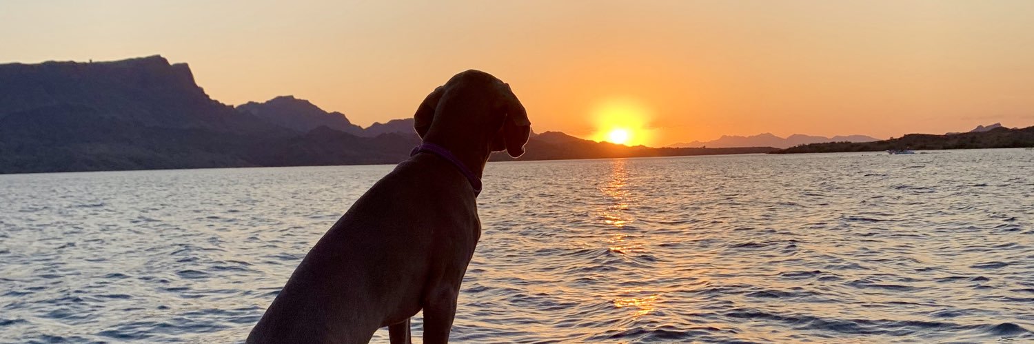 tchambs12's profile banner image