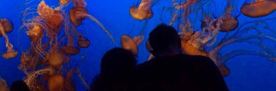 Sally Abou AlJoud | سالي banner