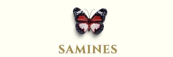 Samines_'s profile banner image