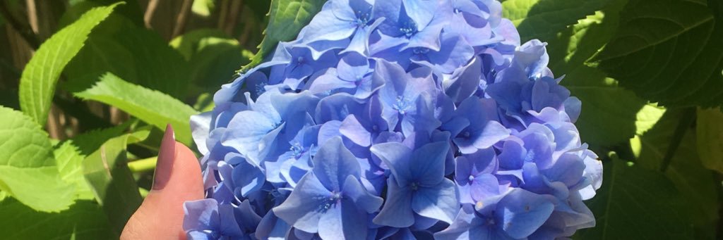 HananAlharthi's profile banner image