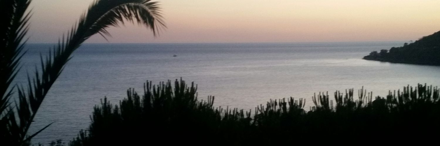 cirocapuano24's profile banner image