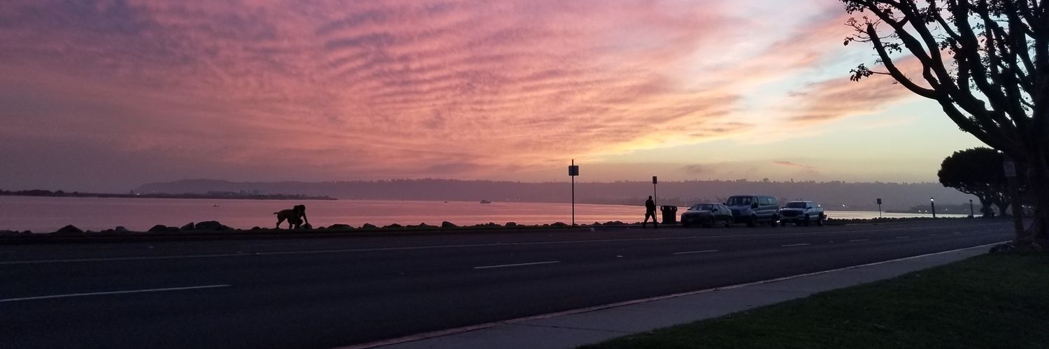 Adrianthenerd's profile banner image
