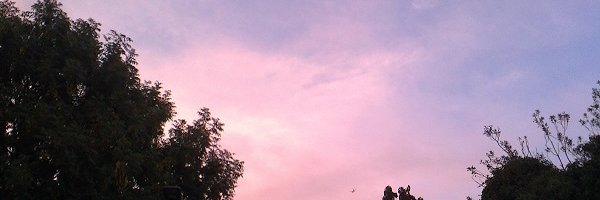 MacGregor72's profile banner image