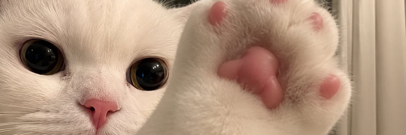 ilpersona's profile banner image