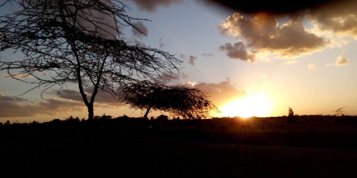 ntayialess5's profile banner image