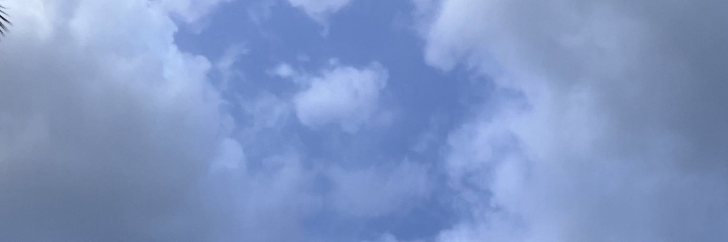 patrialoy's profile banner image