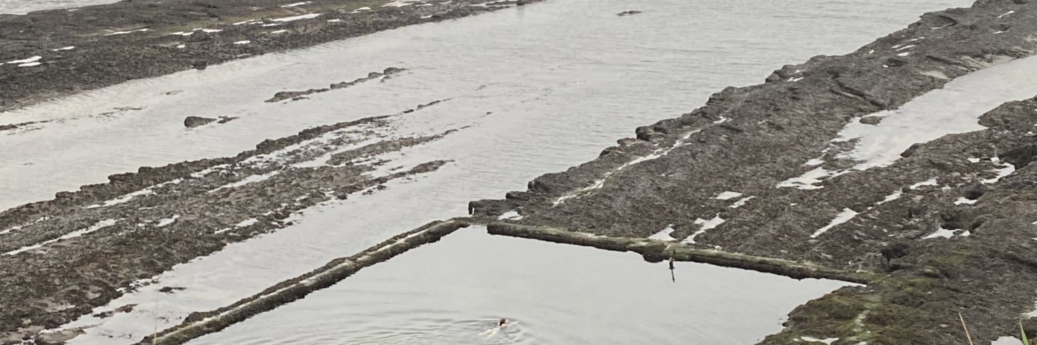 Junia Lin Hua Jonsdottir banner