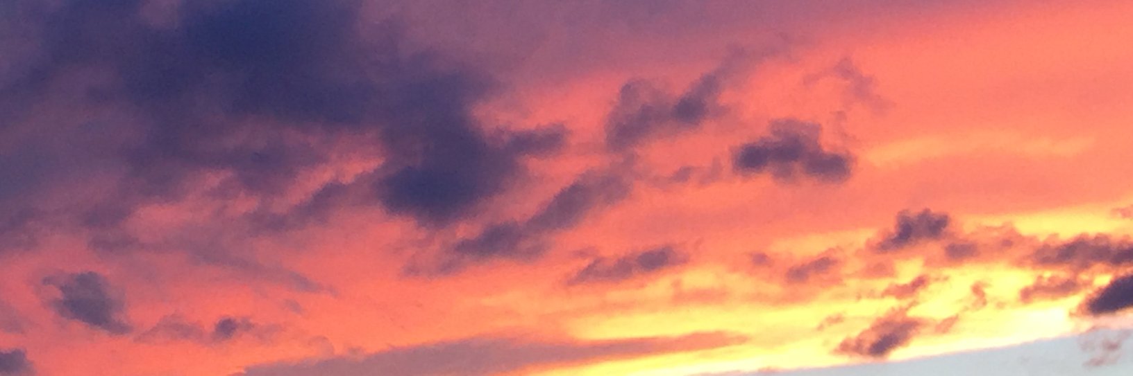 ida_hawk's profile banner image