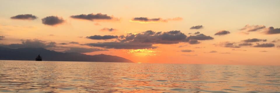 tanerkalmuoglu's profile banner image