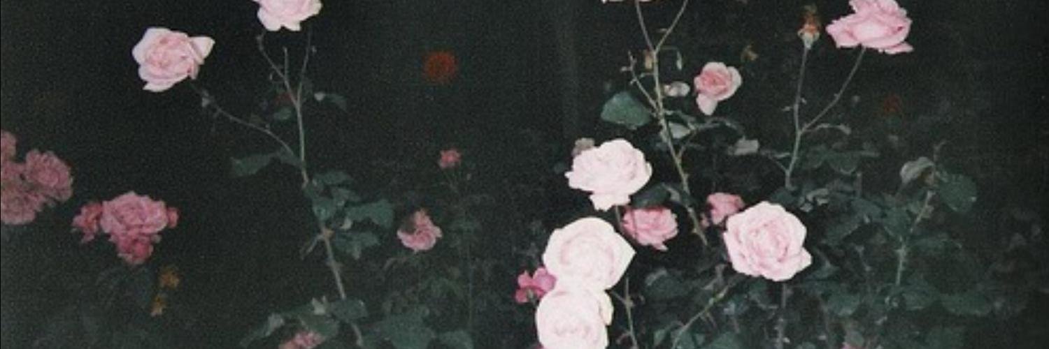 _danialii's profile banner image