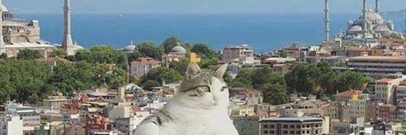 canyenidogan's profile banner image
