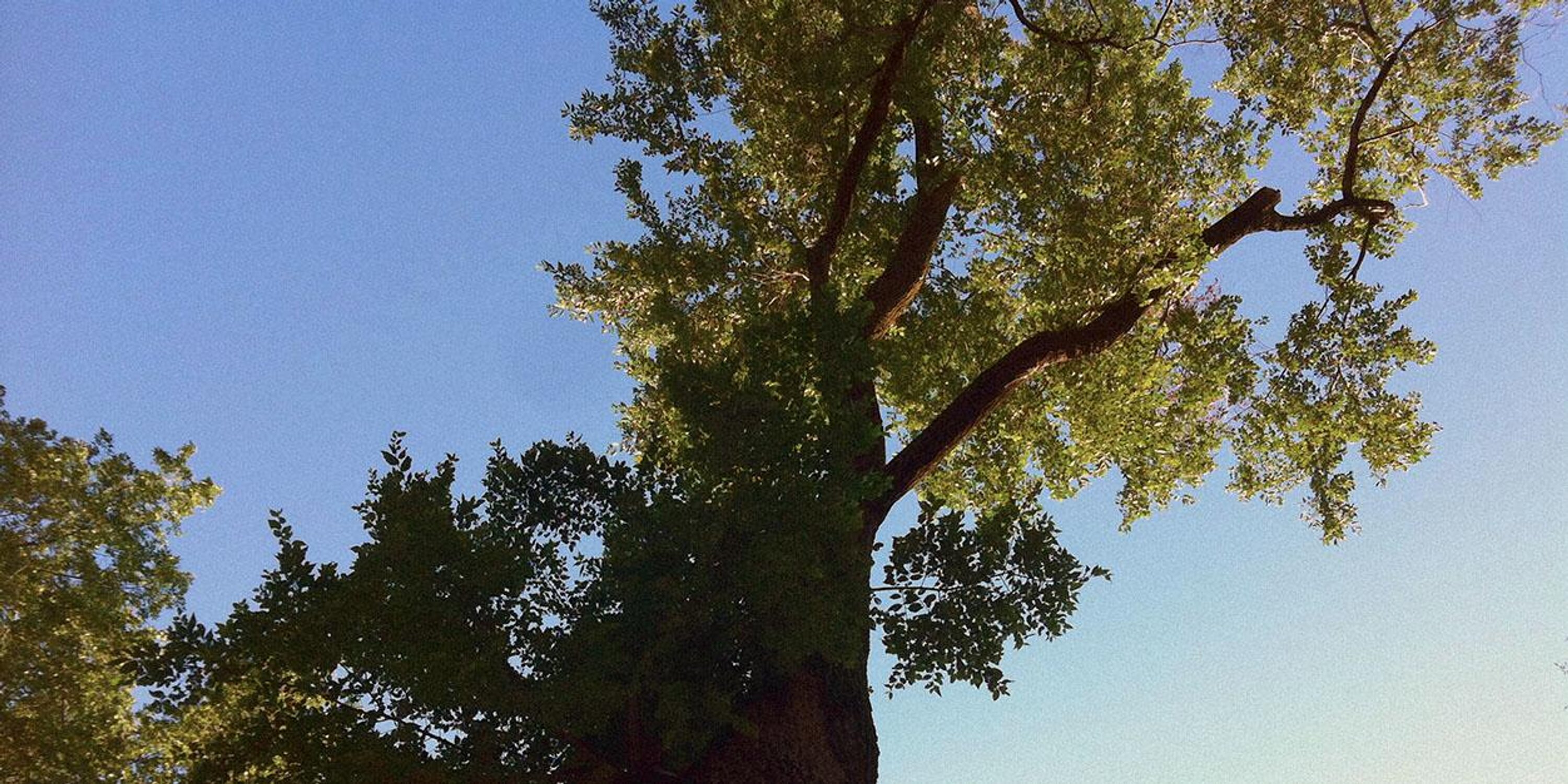 KulaAnnex's profile banner image