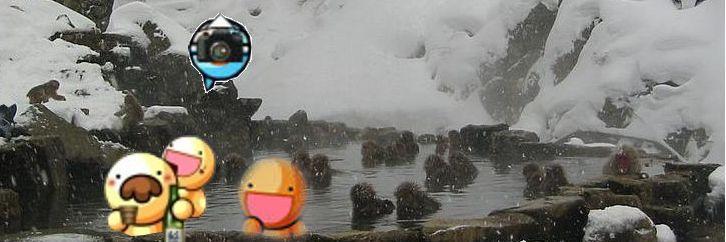 🐶huney🐇 banner