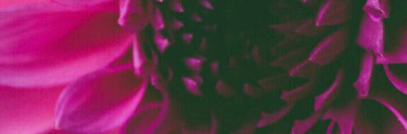Hno | هنو banner