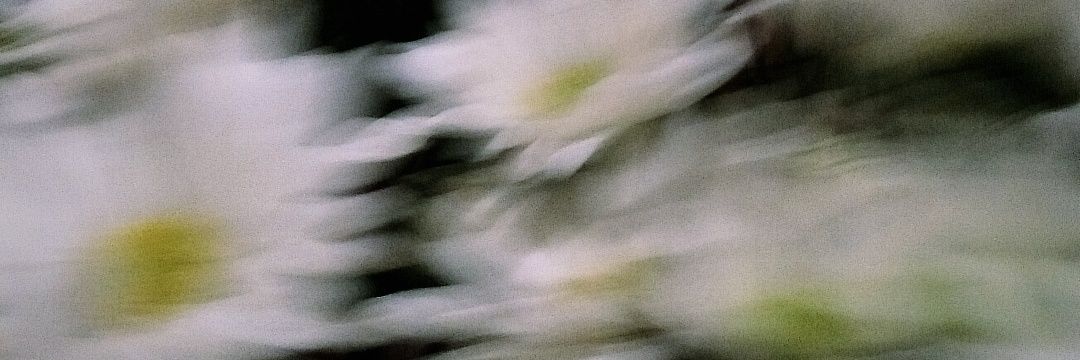 allhaertmello's profile banner image