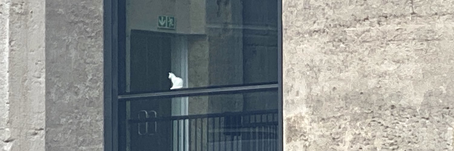 Barbara Southworth banner