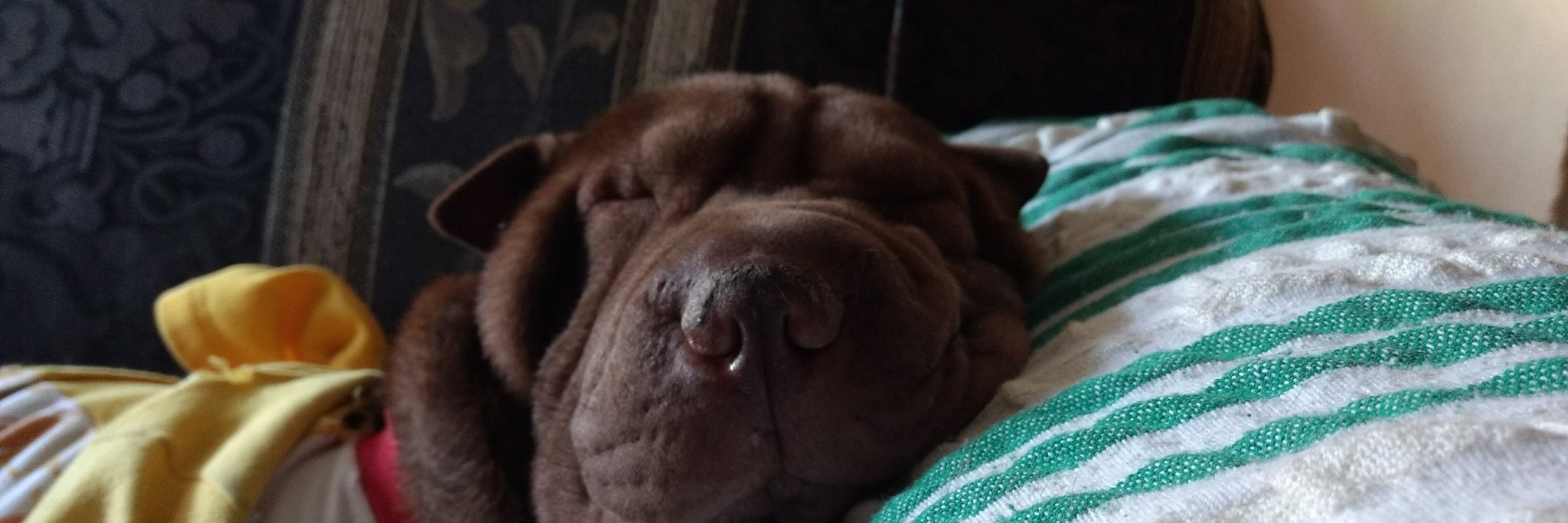 Johan_delvalle's profile banner image
