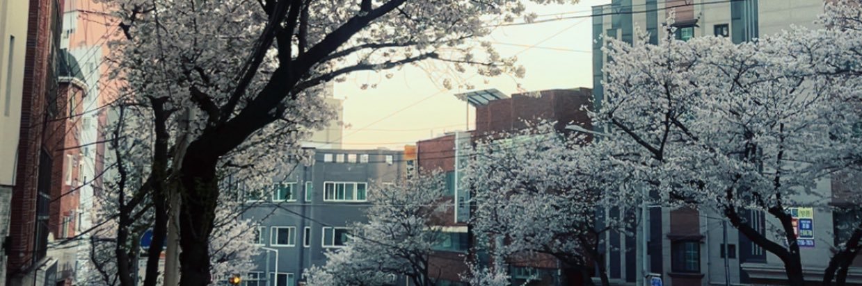 whatsupfar's profile banner image