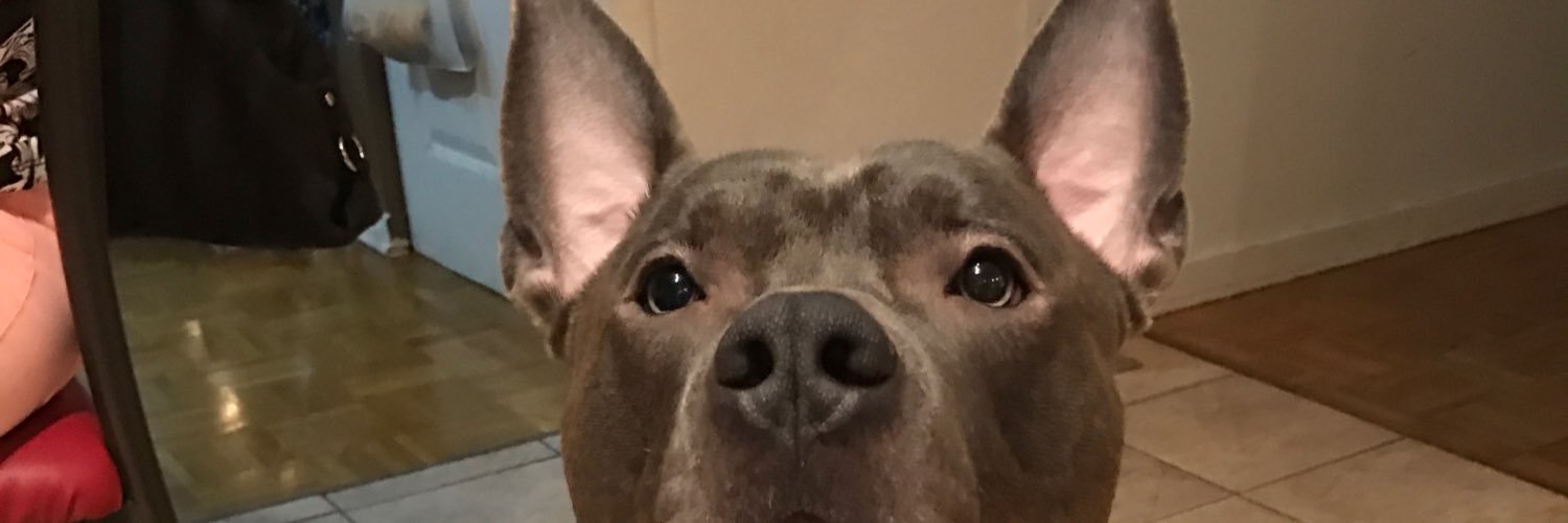Ruben_spacely's profile banner image