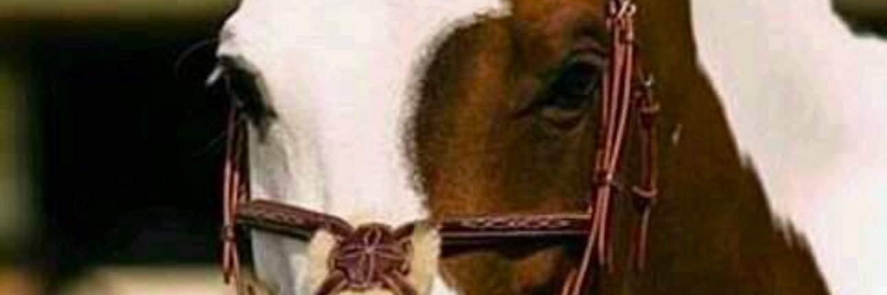 IGWT2025's profile banner image