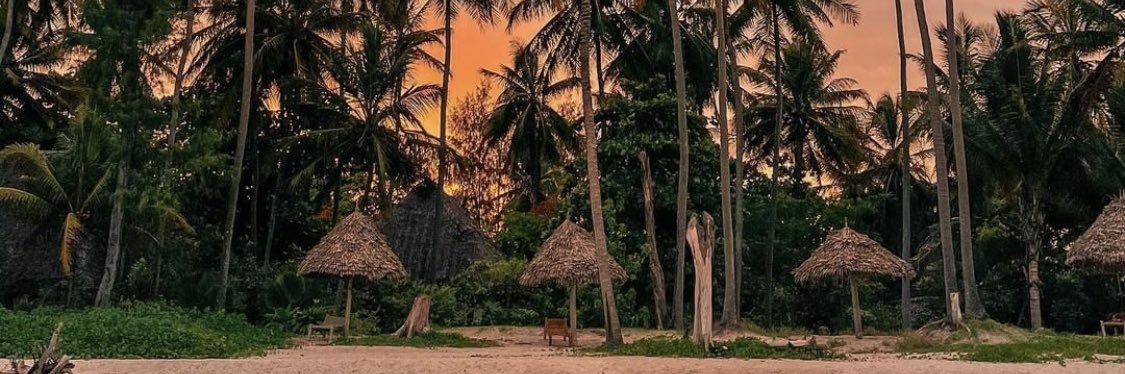 Adrianmshana's profile banner image