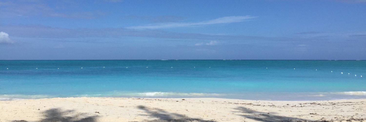 cindy nantais banner