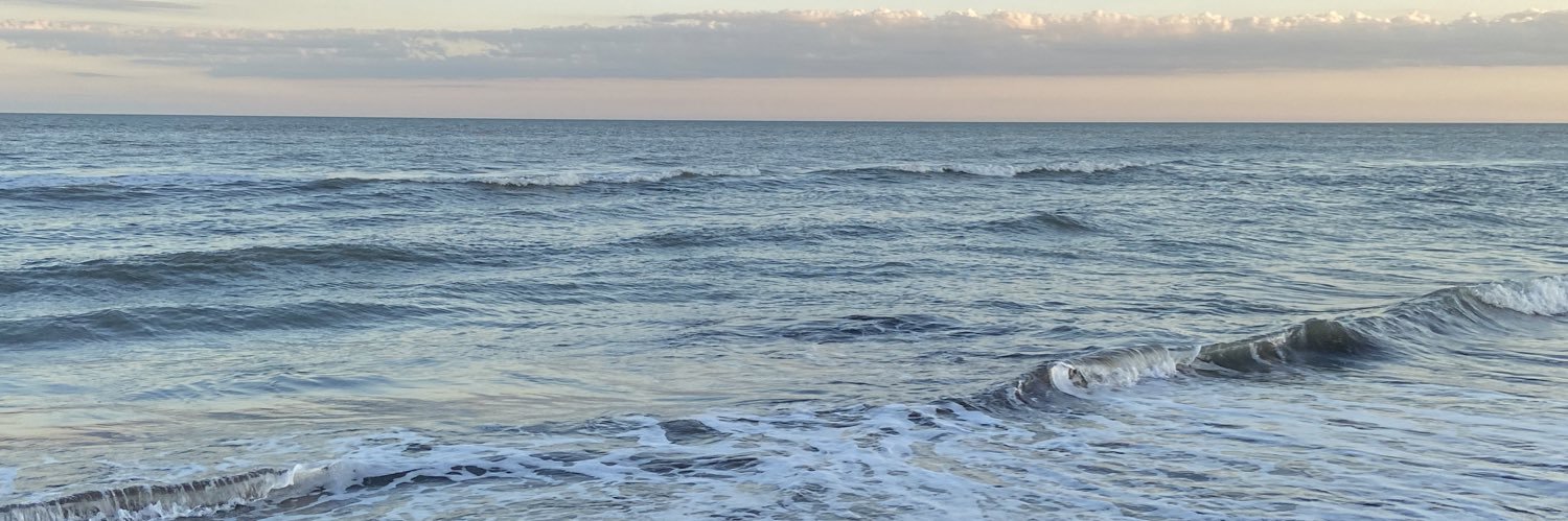 candelariapr_'s profile banner image