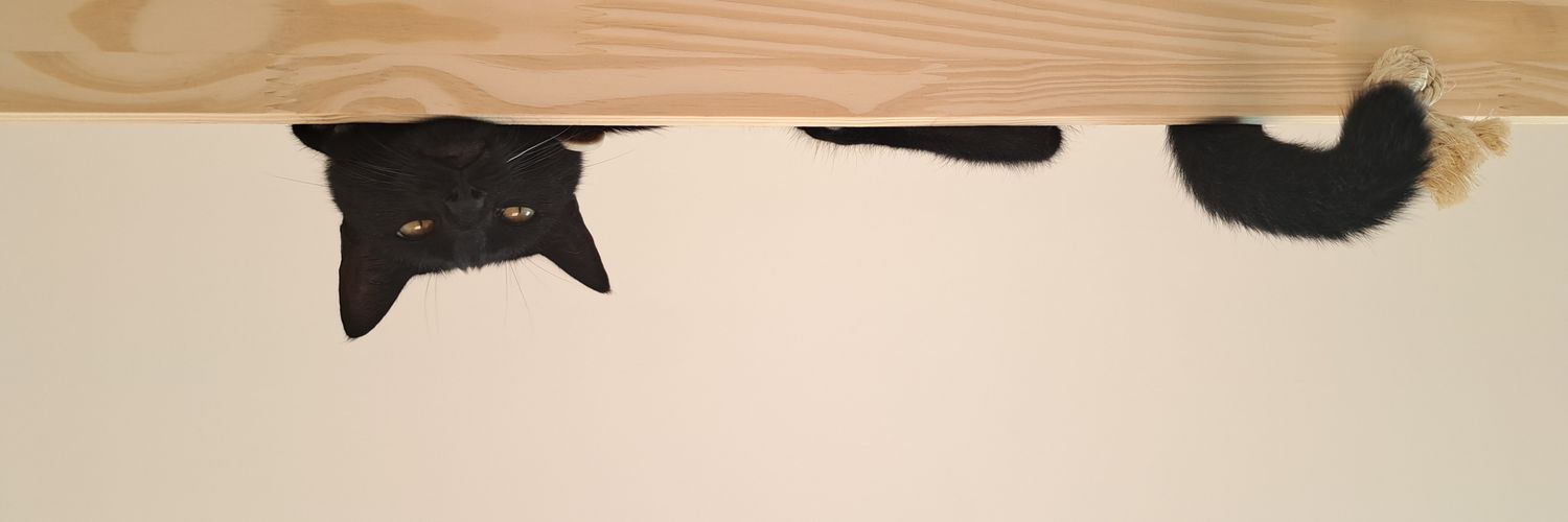 lais0ca's profile banner image