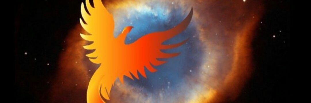 Saludos. Law & Order. banner