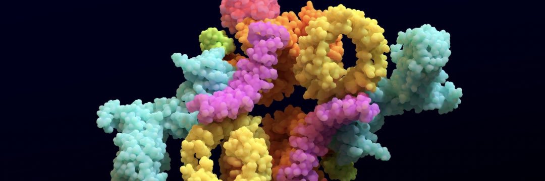 دختر لر banner