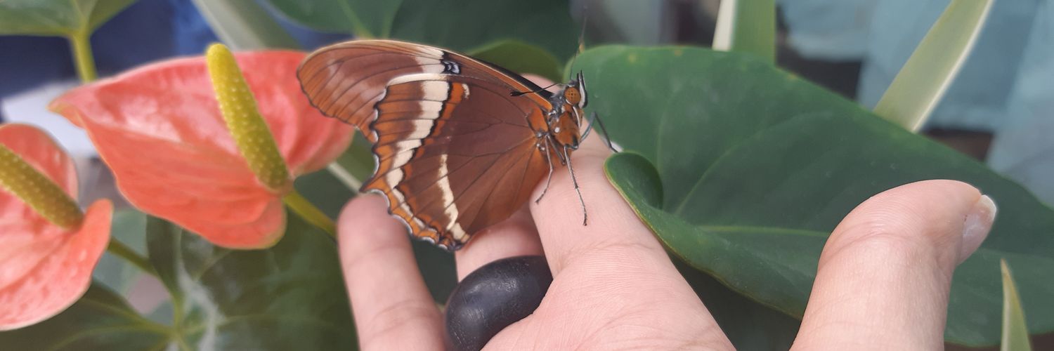 La Mariposa banner