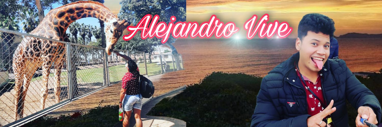 Alejandro1997L's profile banner image