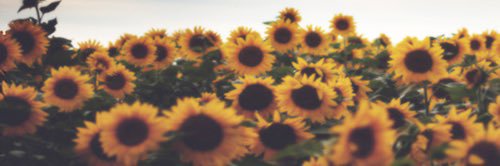 AndItsBeee's profile banner image