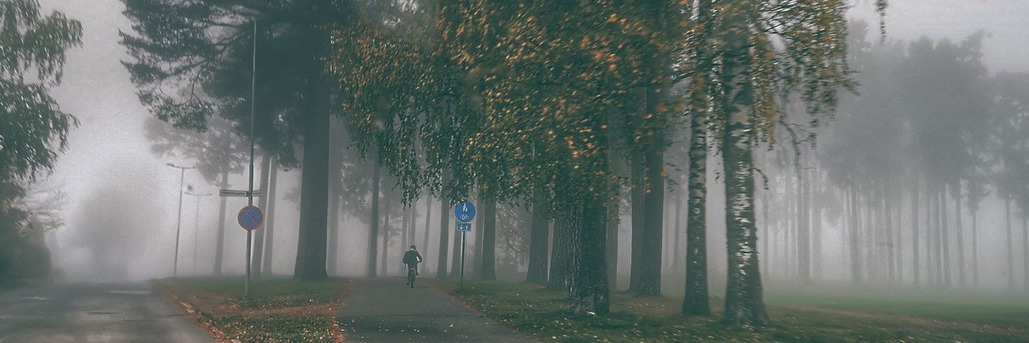 lolloalmlof's profile banner image