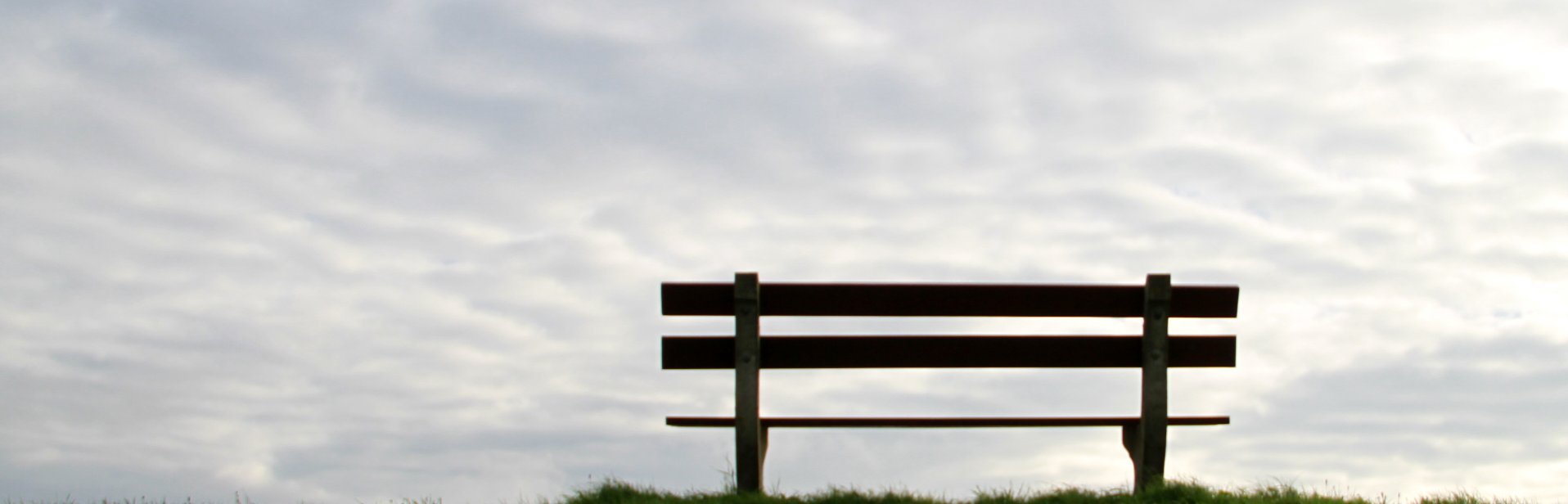 GuyMilis's profile banner image