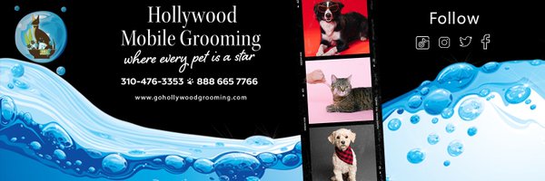 Go Hollywood Grooming Profile Banner