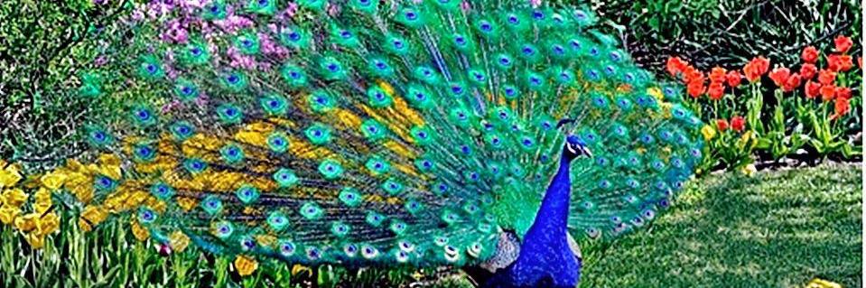 la_bodi's profile banner image