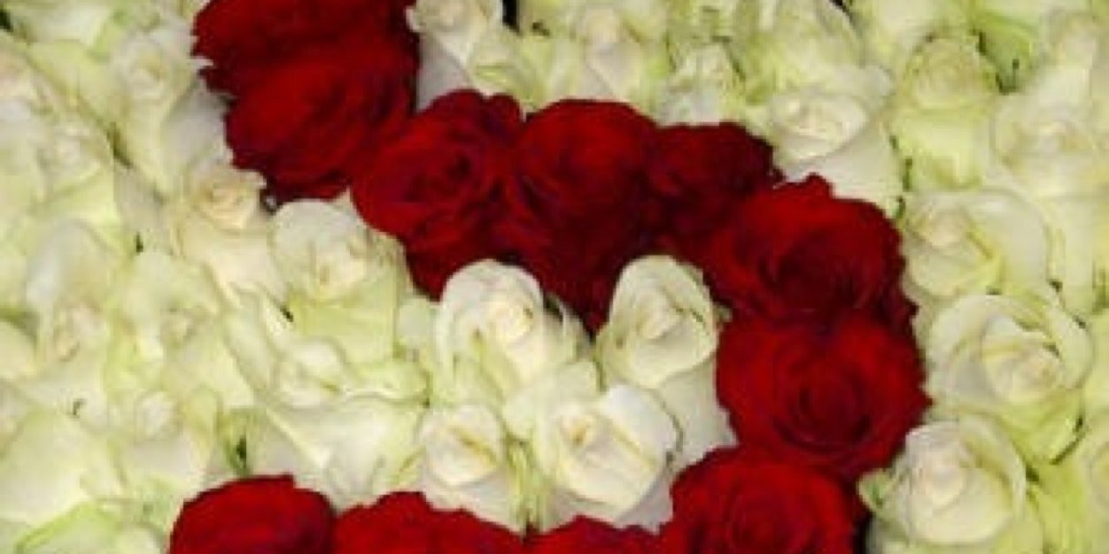 222Soliman's profile banner image