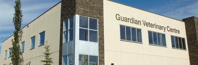 GuardianVet's profile banner image