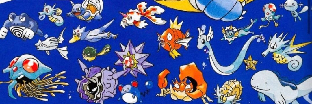 StephanNguyen56's profile banner image